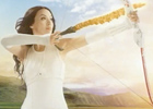 Chinese Herbal Medicine CM